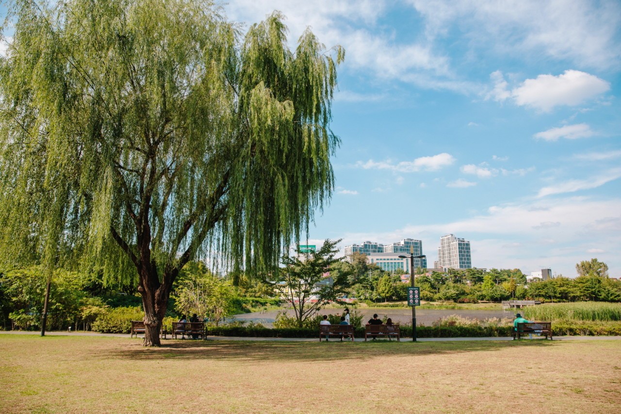 Pureun Arboretum