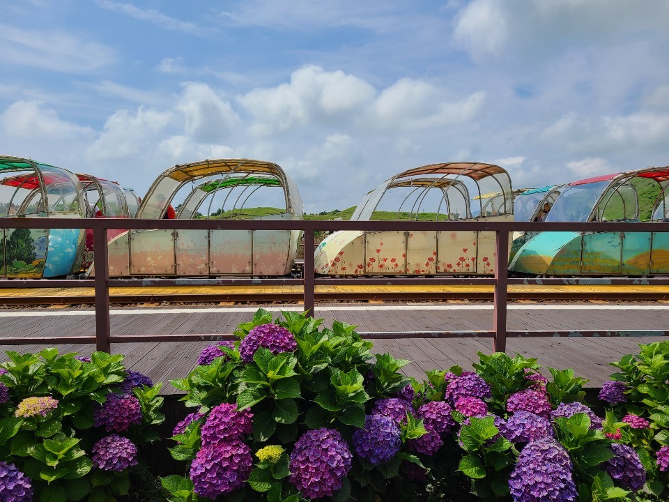 Jeju Rail Bike